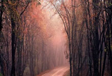 PG国际-关于徽州雷霆队鏖战雪域金雕队，跆拳道大师赛惊险晋级，核心复出即建功。传控打穿防线的信息